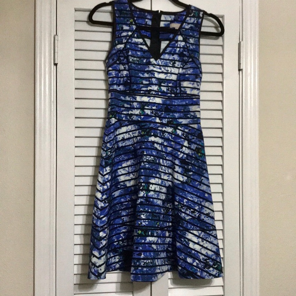 Banana Republic Blue Floral Dress, 0